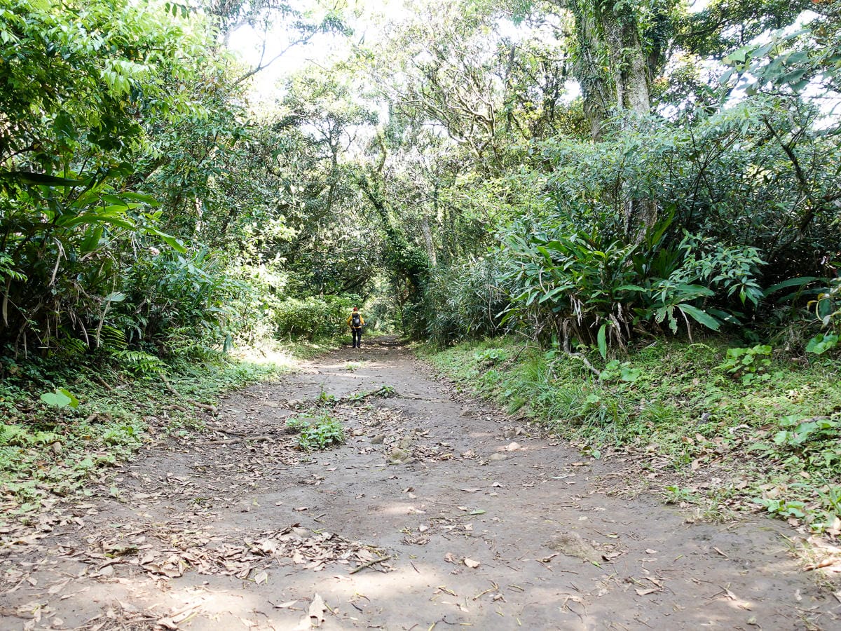 北投百岳練習 清天宮 面天坪 面天山 向天山 興福寮古道O形