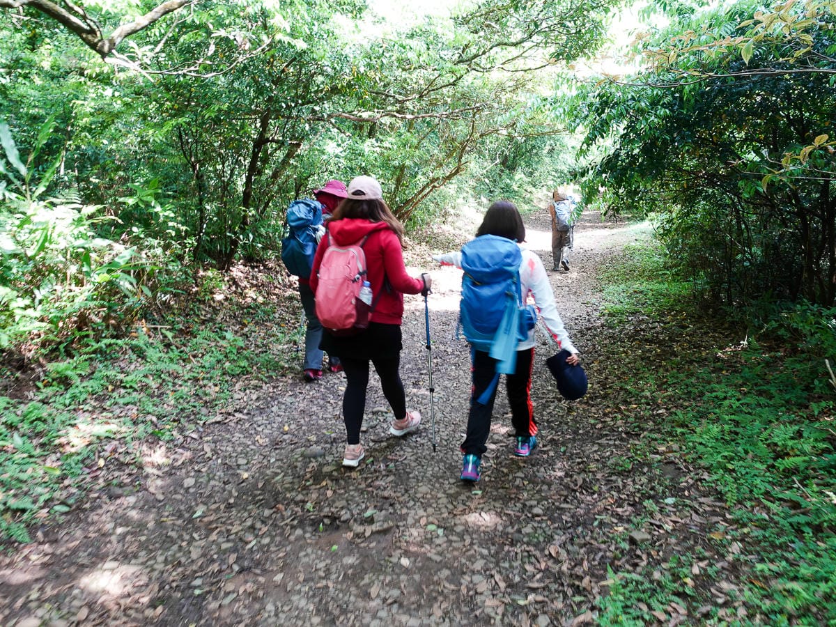 北投百岳練習 清天宮 面天坪 面天山 向天山 興福寮古道O形