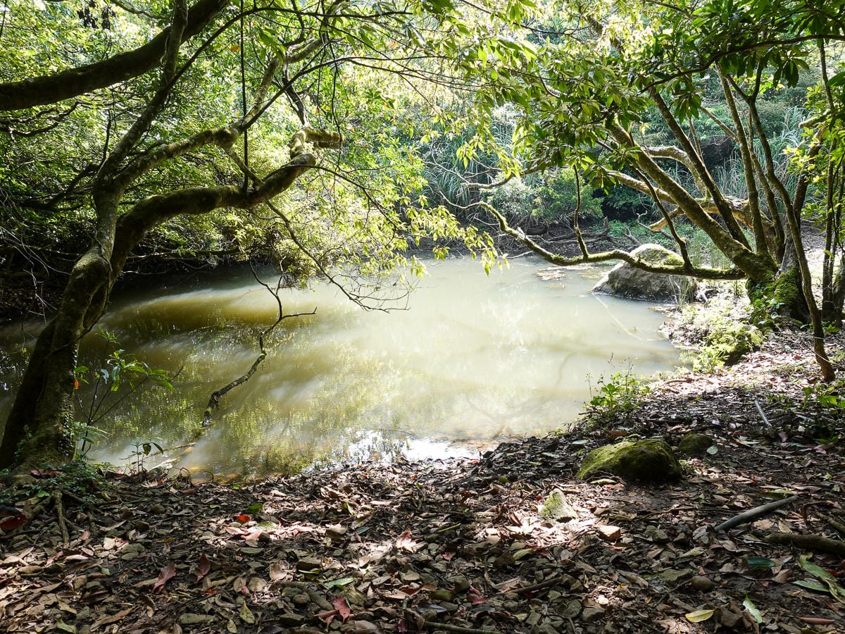 北投百岳練習 清天宮 面天坪 面天山 向天山 興福寮古道O形