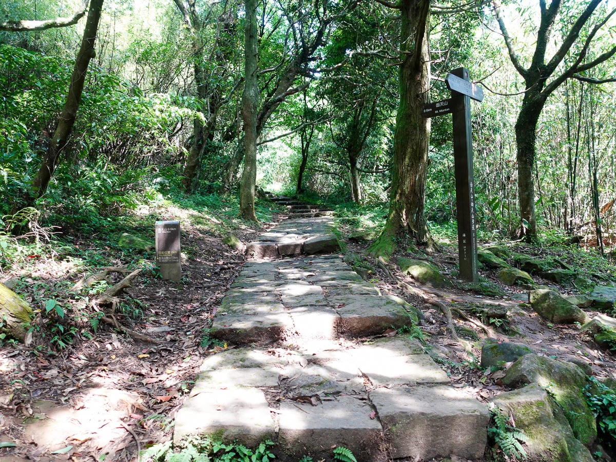 北投百岳練習 清天宮 面天坪 面天山 向天山 興福寮古道O形