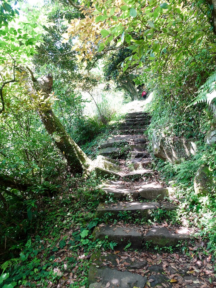 北投百岳練習 清天宮 面天坪 面天山 向天山 興福寮古道O形