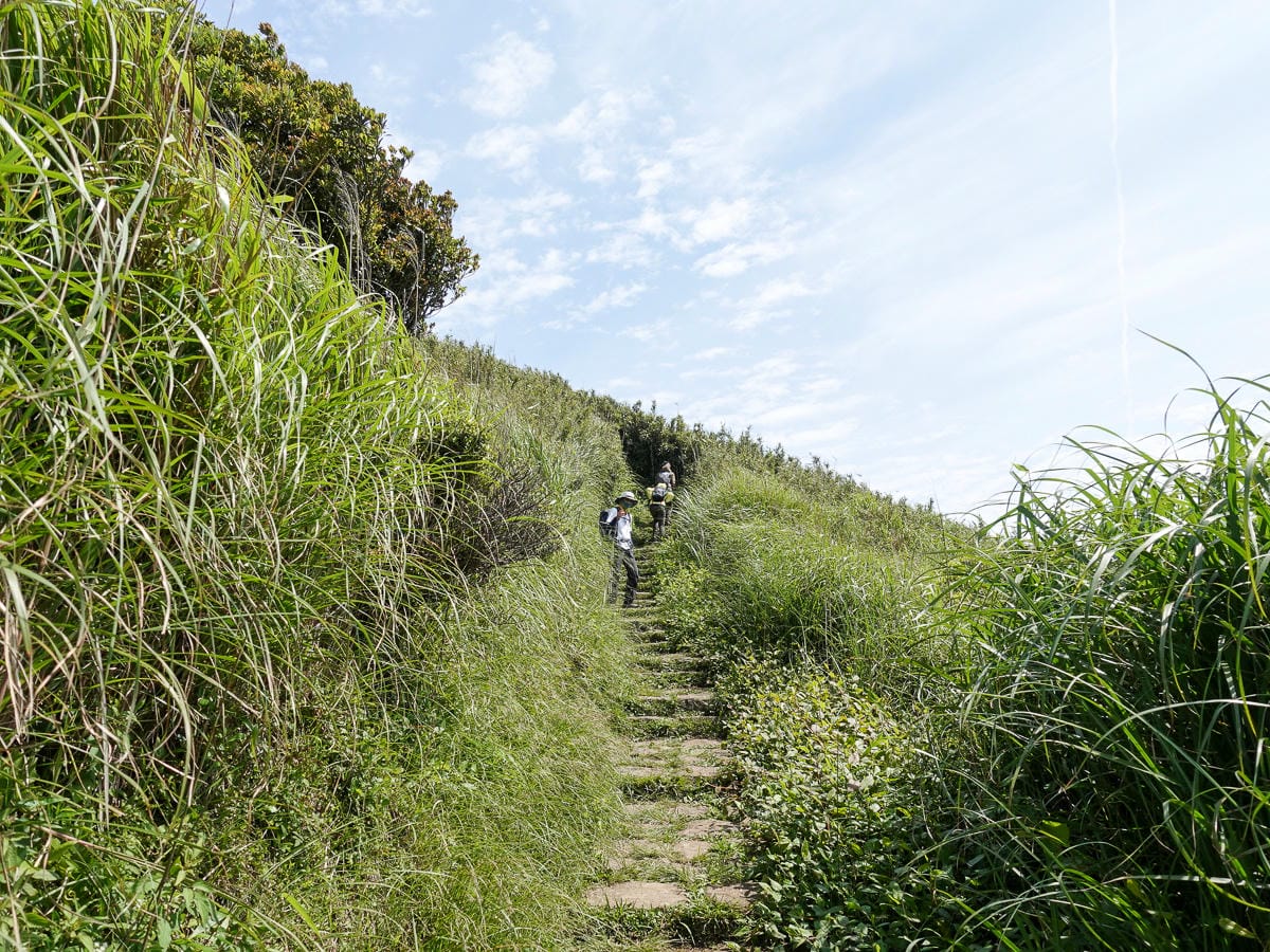北投百岳練習 清天宮 面天坪 面天山 向天山 興福寮古道O形