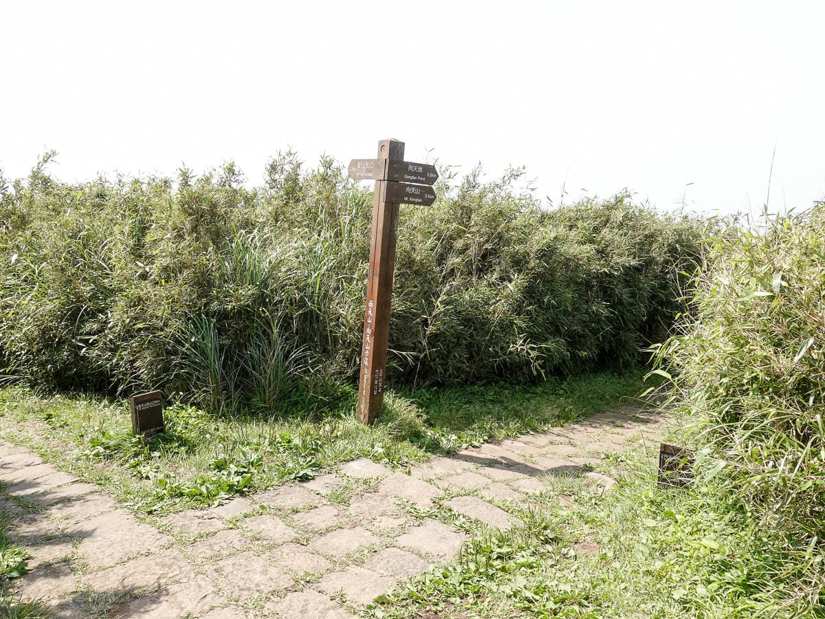 北投百岳練習 清天宮 面天坪 面天山 向天山 興福寮古道O形