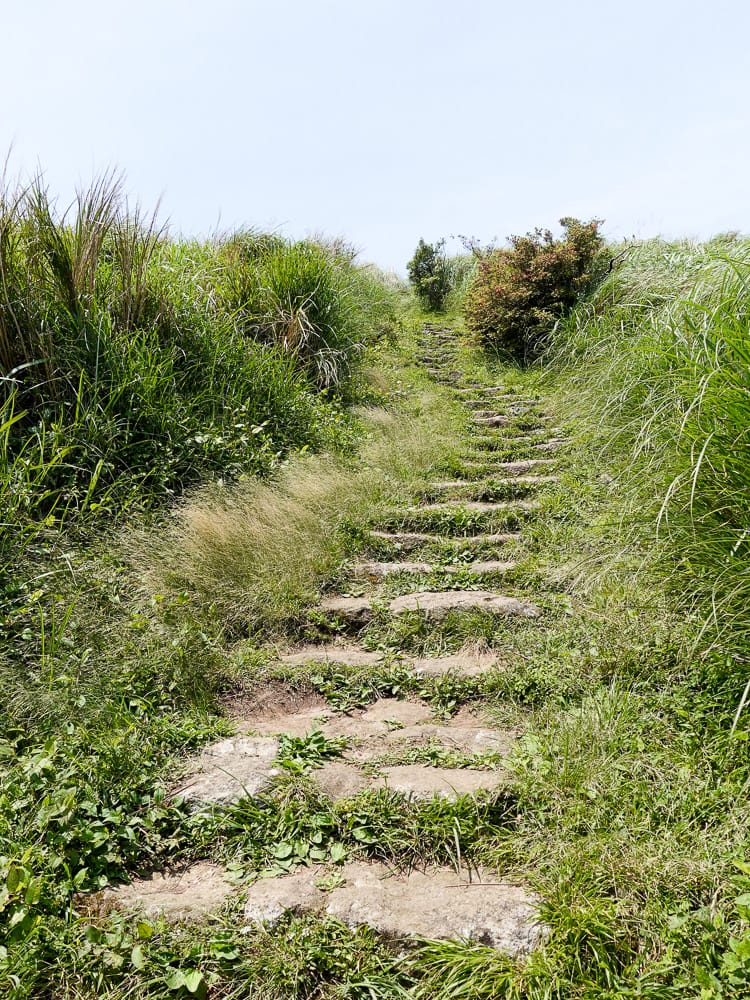 北投百岳練習 清天宮 面天坪 面天山 向天山 興福寮古道O形
