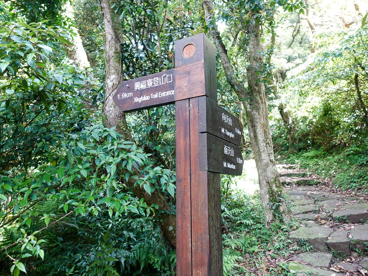 北投百岳練習 清天宮 面天坪 面天山 向天山 興福寮古道O形