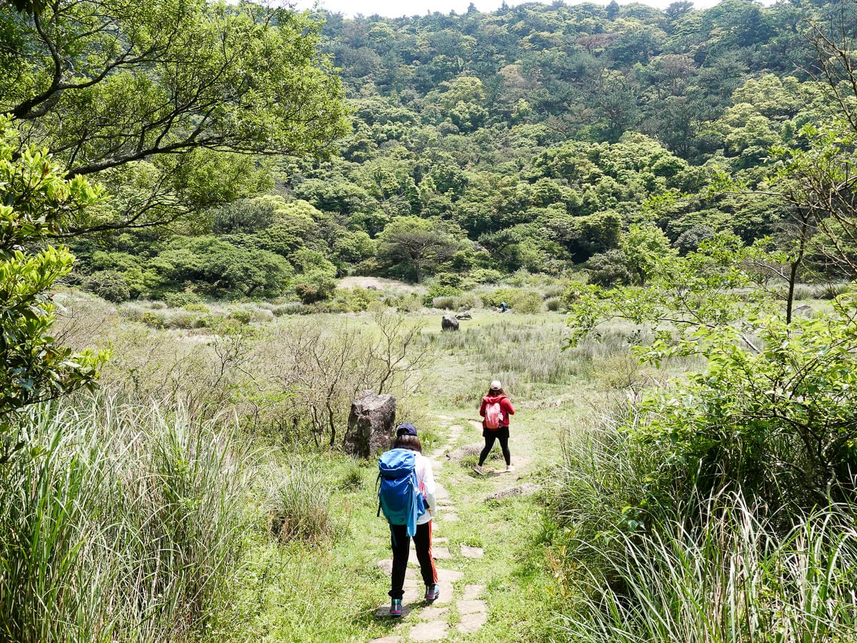 北投百岳練習 清天宮 面天坪 面天山 向天山 興福寮古道O形