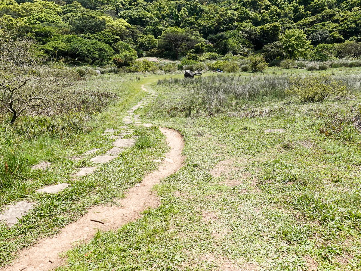 北投百岳練習 清天宮 面天坪 面天山 向天山 興福寮古道O形