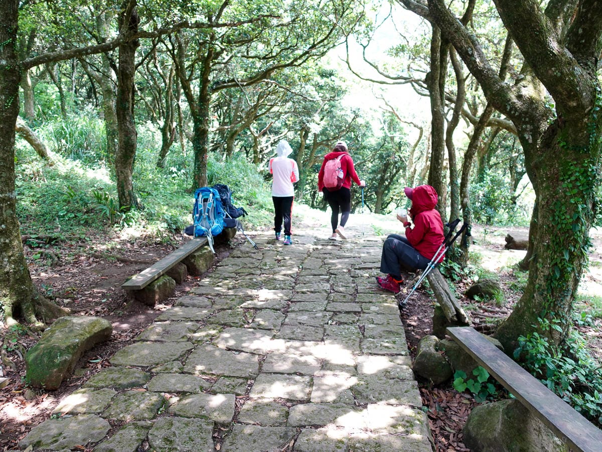 北投百岳練習 清天宮 面天坪 面天山 向天山 興福寮古道O形