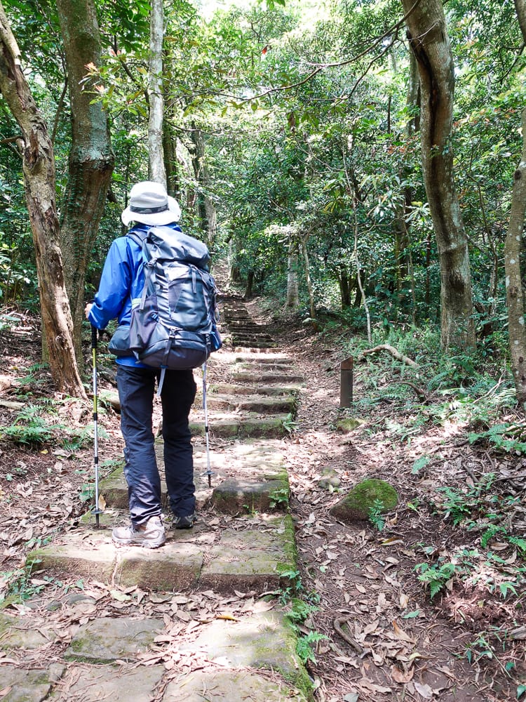 北投百岳練習 清天宮 面天坪 面天山 向天山 興福寮古道O形