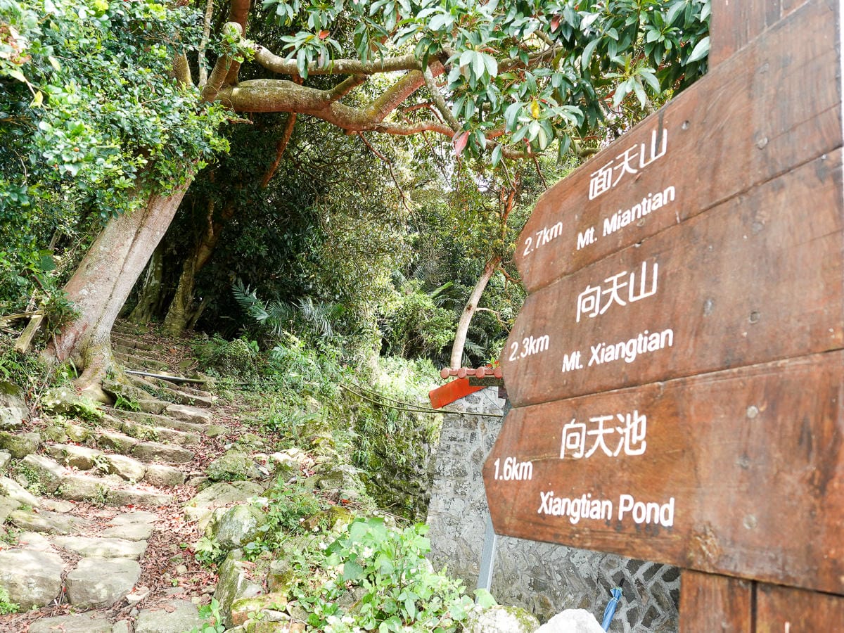 北投百岳練習 清天宮 面天坪 面天山 向天山 興福寮古道O形