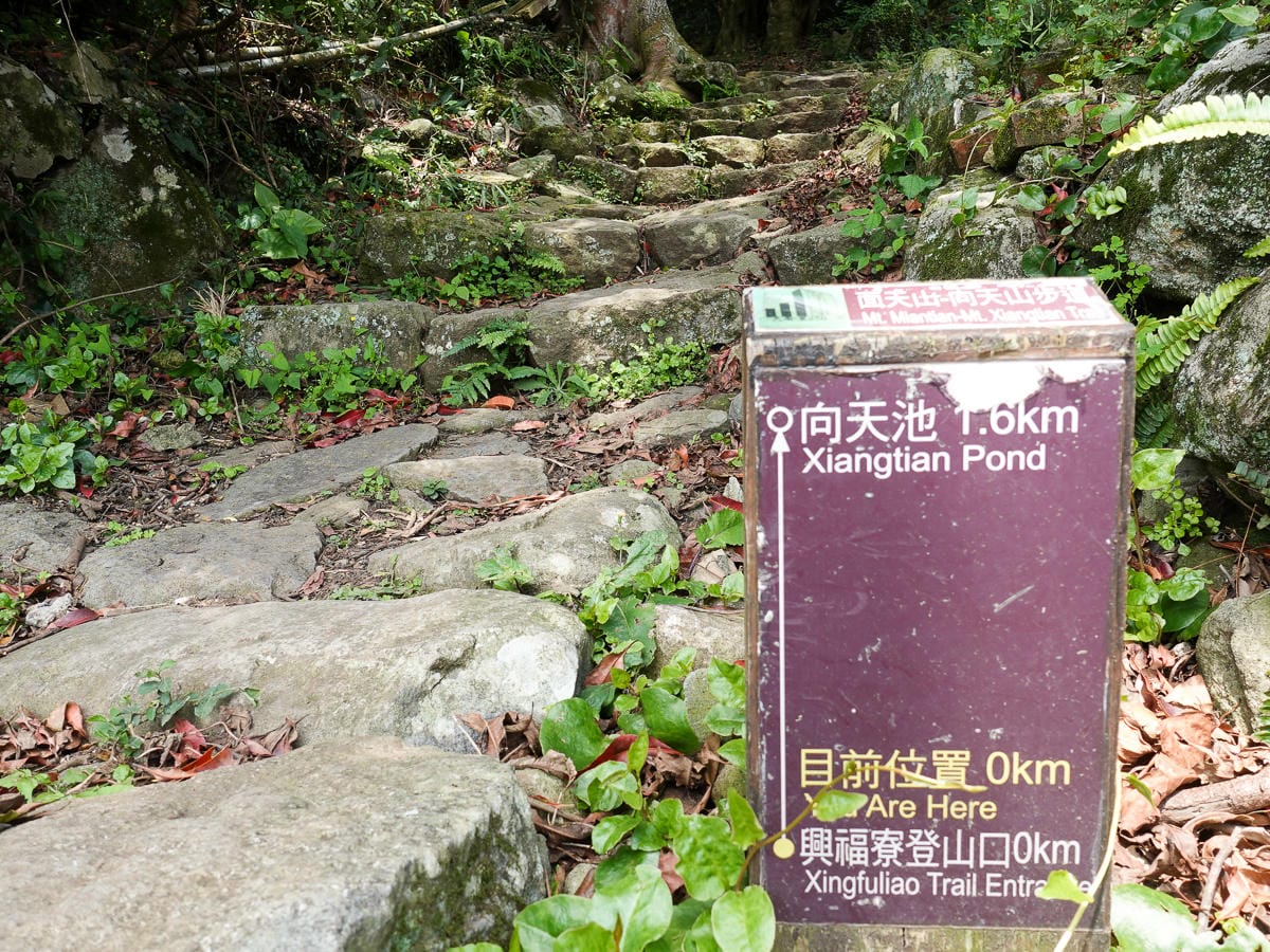 北投百岳練習 清天宮 面天坪 面天山 向天山 興福寮古道O形