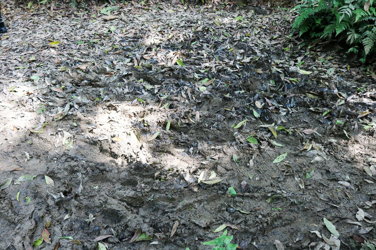 宜蘭松蘿湖單攻一日來回勇腳帶淚 十七歲少女湖面貌只能用驚心動魄形容