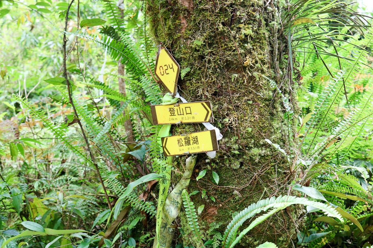 宜蘭松蘿湖單攻一日來回勇腳帶淚 十七歲少女湖面貌只能用驚心動魄形容