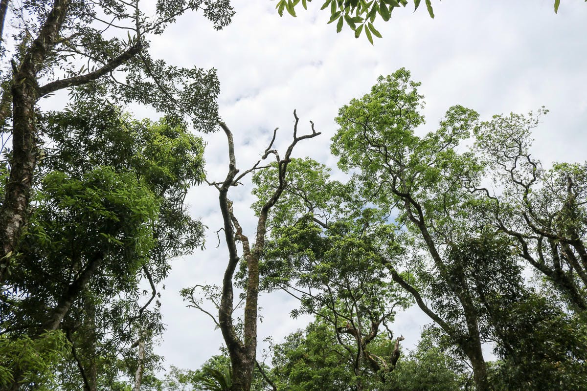 宜蘭松蘿湖單攻一日來回勇腳帶淚 十七歲少女湖面貌只能用驚心動魄形容