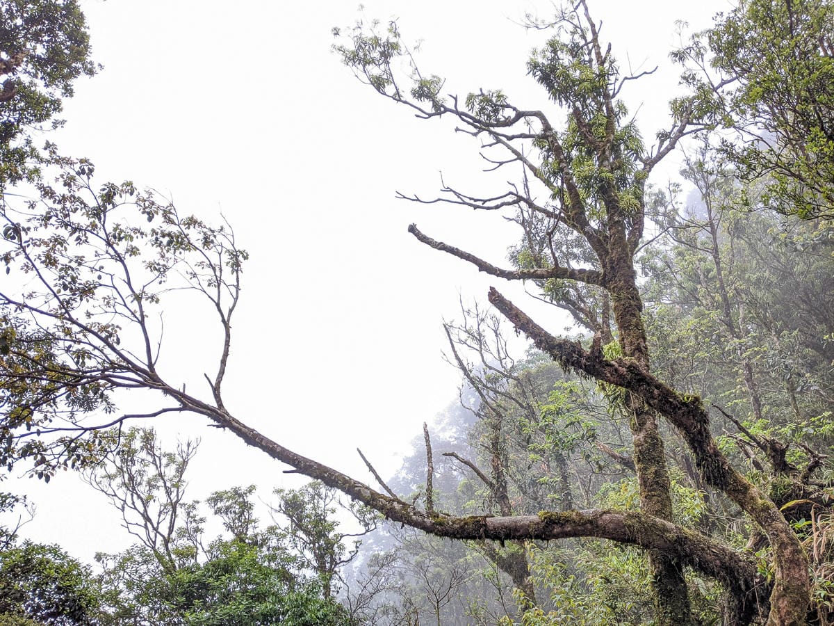 宜蘭松蘿湖單攻一日來回勇腳帶淚 十七歲少女湖面貌只能用驚心動魄形容