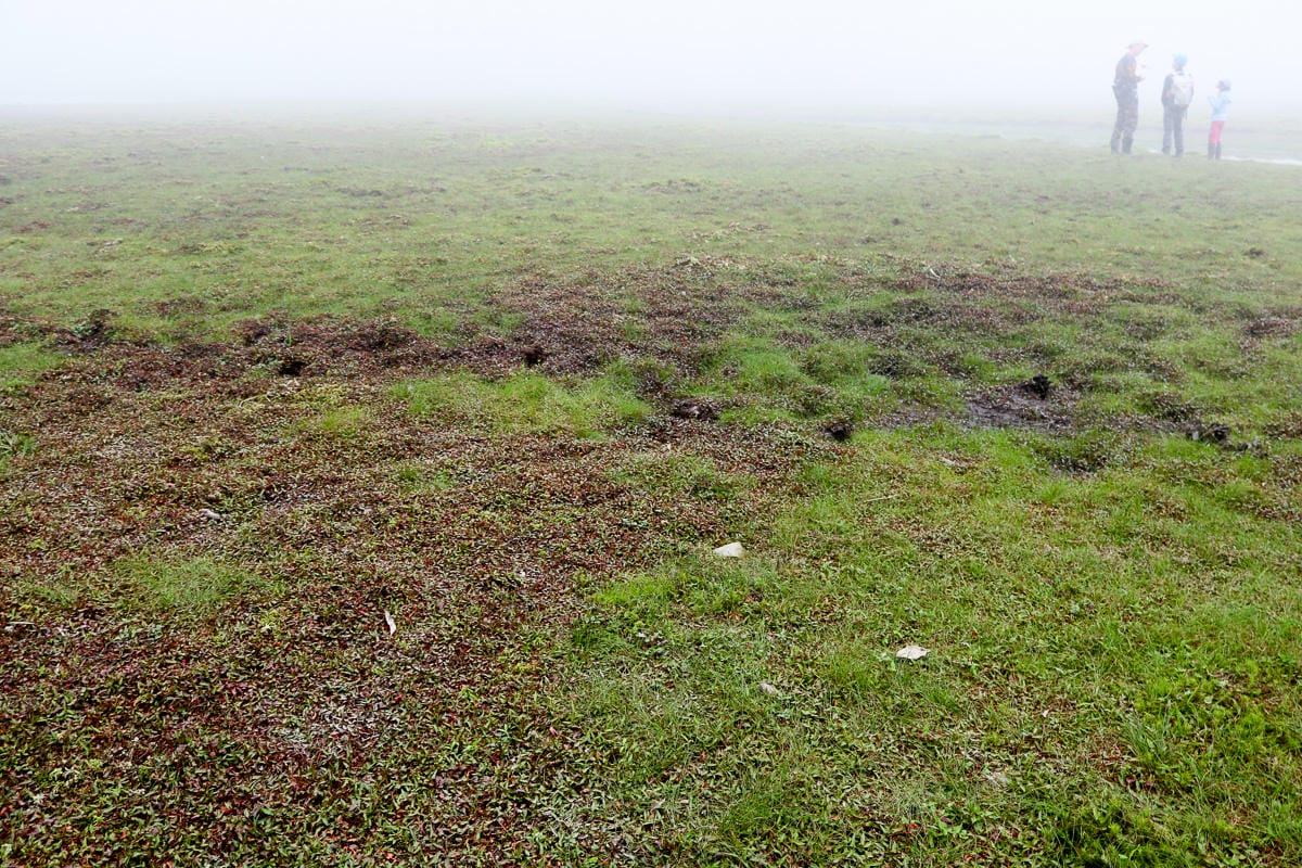 宜蘭松蘿湖單攻一日來回勇腳帶淚 十七歲少女湖面貌只能用驚心動魄形容