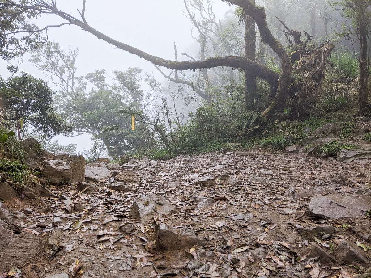 宜蘭松蘿湖單攻一日來回勇腳帶淚 十七歲少女湖面貌只能用驚心動魄形容