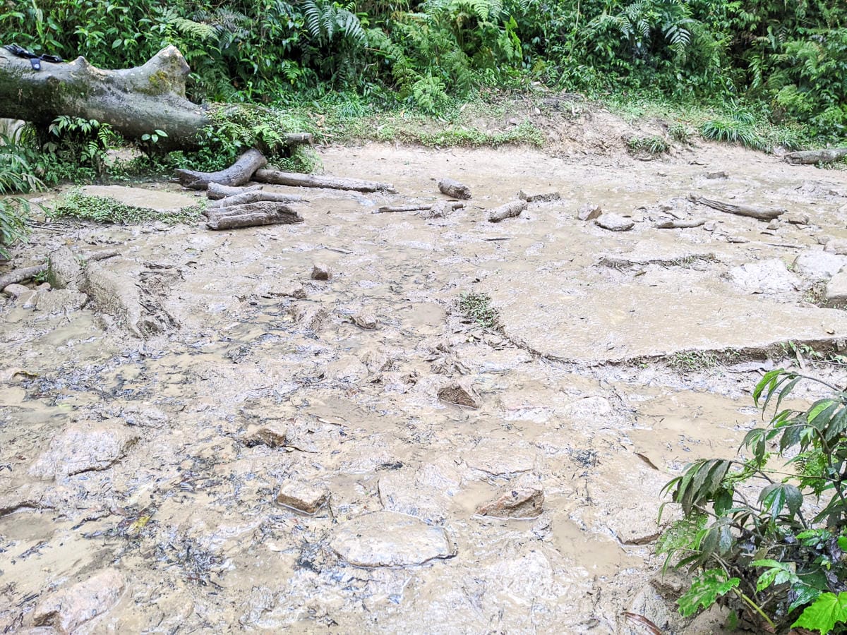 宜蘭松蘿湖單攻一日來回勇腳帶淚 十七歲少女湖面貌只能用驚心動魄形容