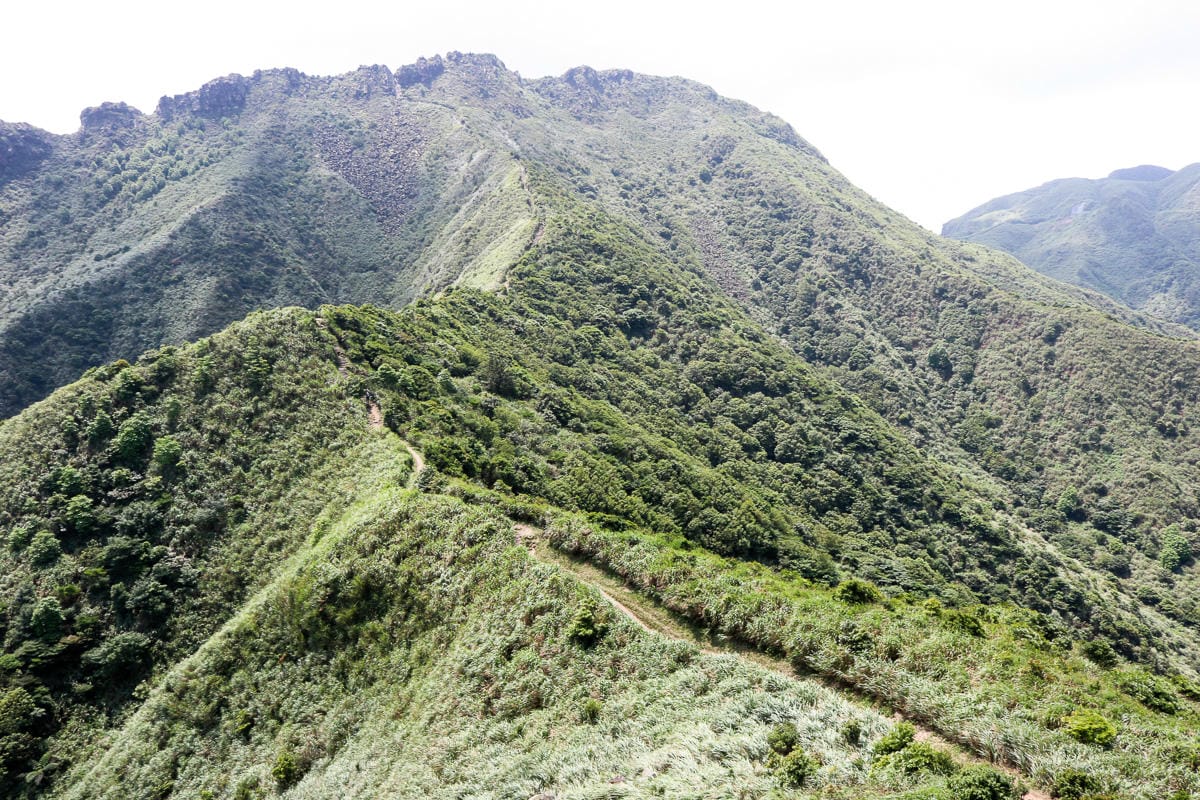 瑞芳茶壺山半屏山縱走 黃金三稜手腳並用氣勢不輸劍龍稜