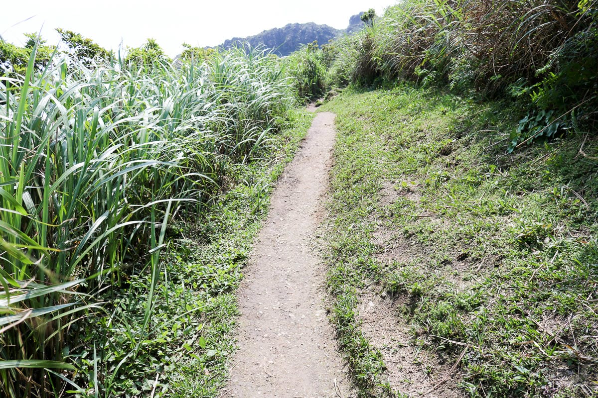 瑞芳茶壺山半屏山縱走 黃金三稜手腳並用氣勢不輸劍龍稜