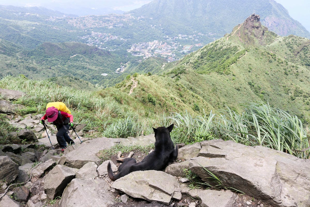 瑞芳茶壺山半屏山縱走 黃金三稜手腳並用氣勢不輸劍龍稜