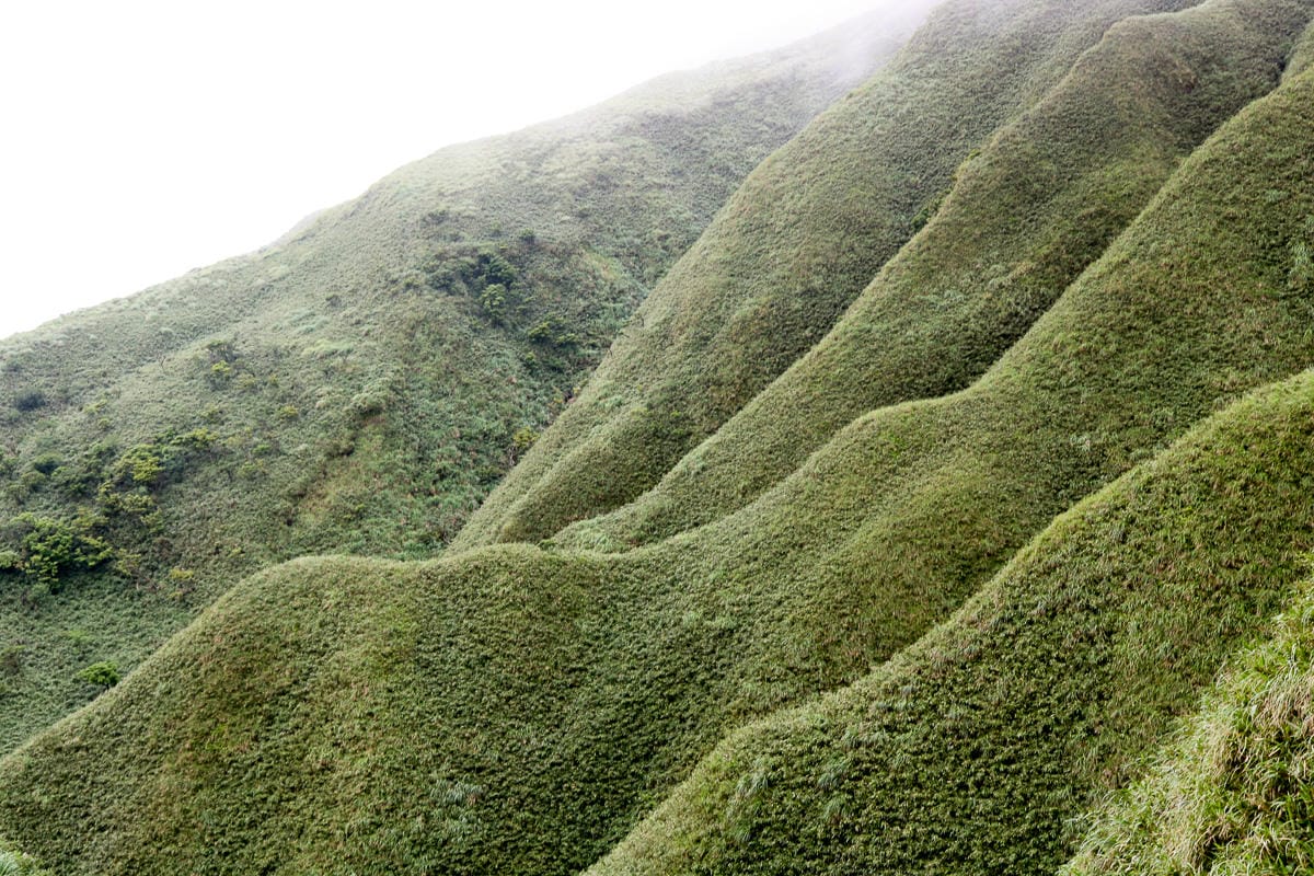 宜蘭礁溪聖母登山步道朝聖路 爬抹茶山聖母山莊沒說的真相