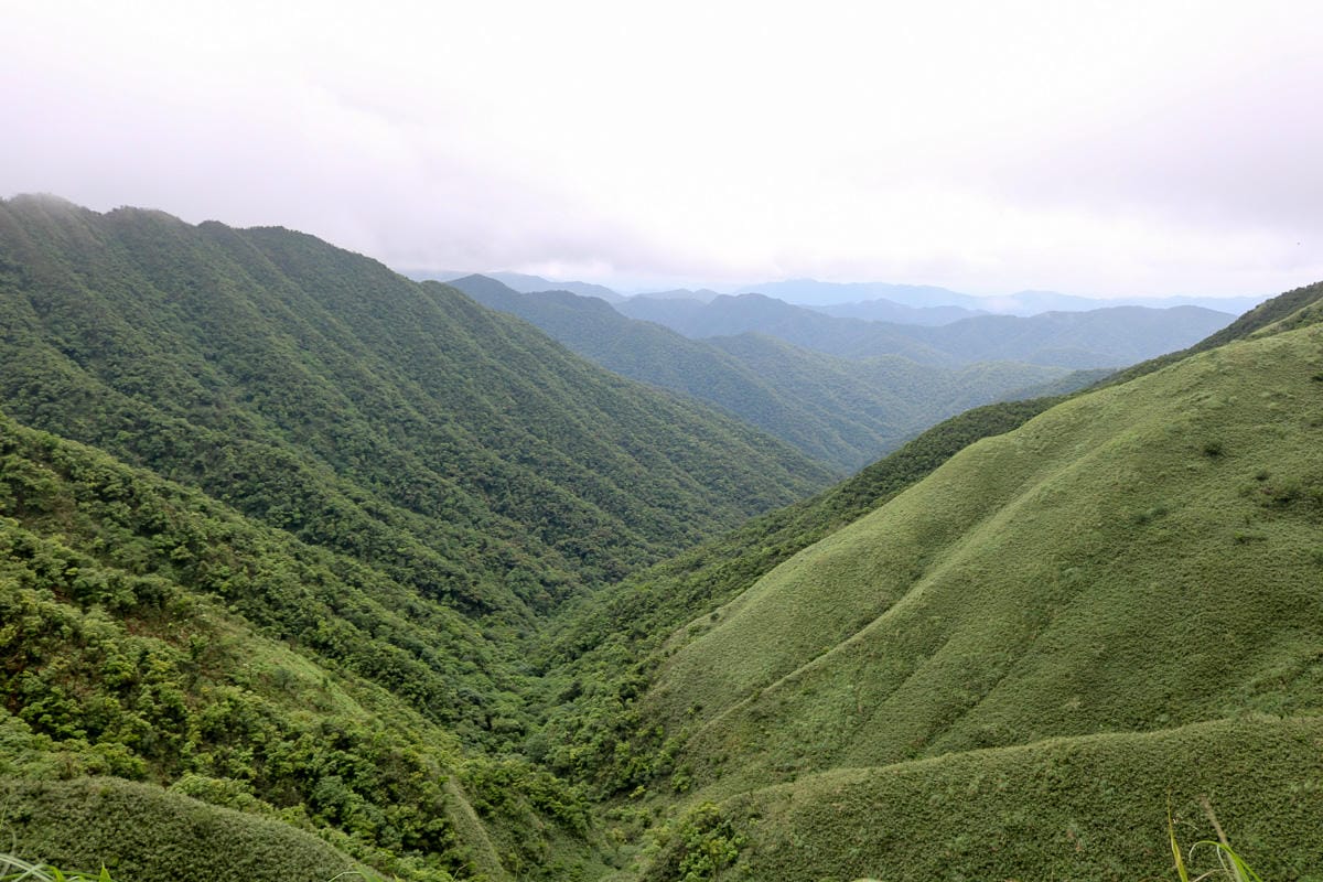 宜蘭礁溪聖母登山步道朝聖路 爬抹茶山聖母山莊沒說的真相