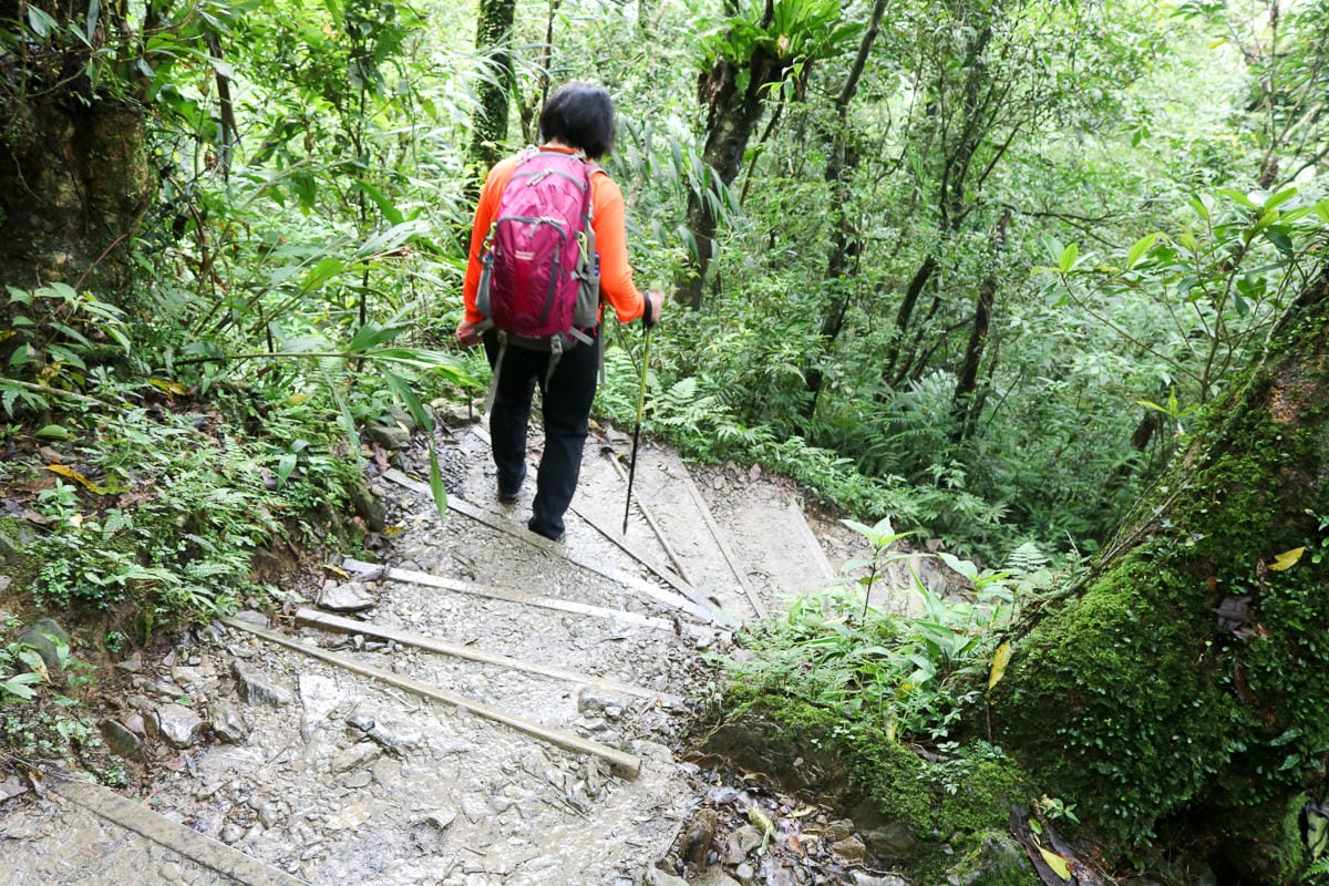 宜蘭礁溪聖母登山步道朝聖路 爬抹茶山聖母山莊沒說的真相