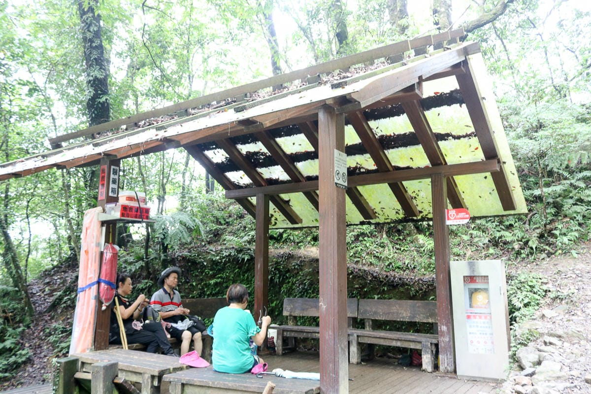 宜蘭礁溪聖母登山步道朝聖路 爬抹茶山聖母山莊沒說的真相