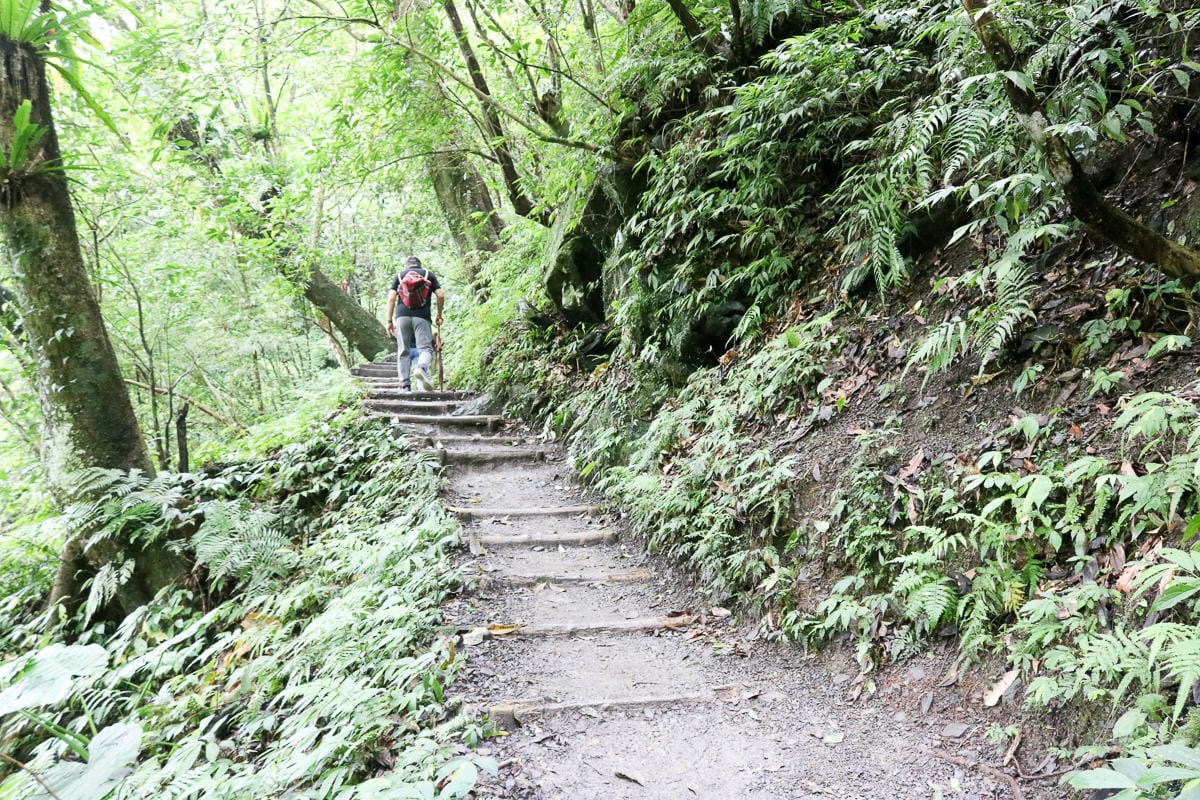 宜蘭礁溪聖母登山步道朝聖路 爬抹茶山聖母山莊沒說的真相