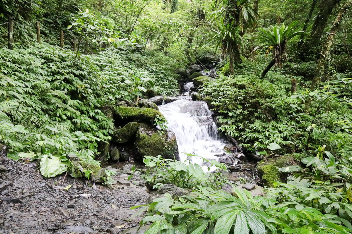 宜蘭礁溪聖母登山步道朝聖路 爬抹茶山聖母山莊沒說的真相