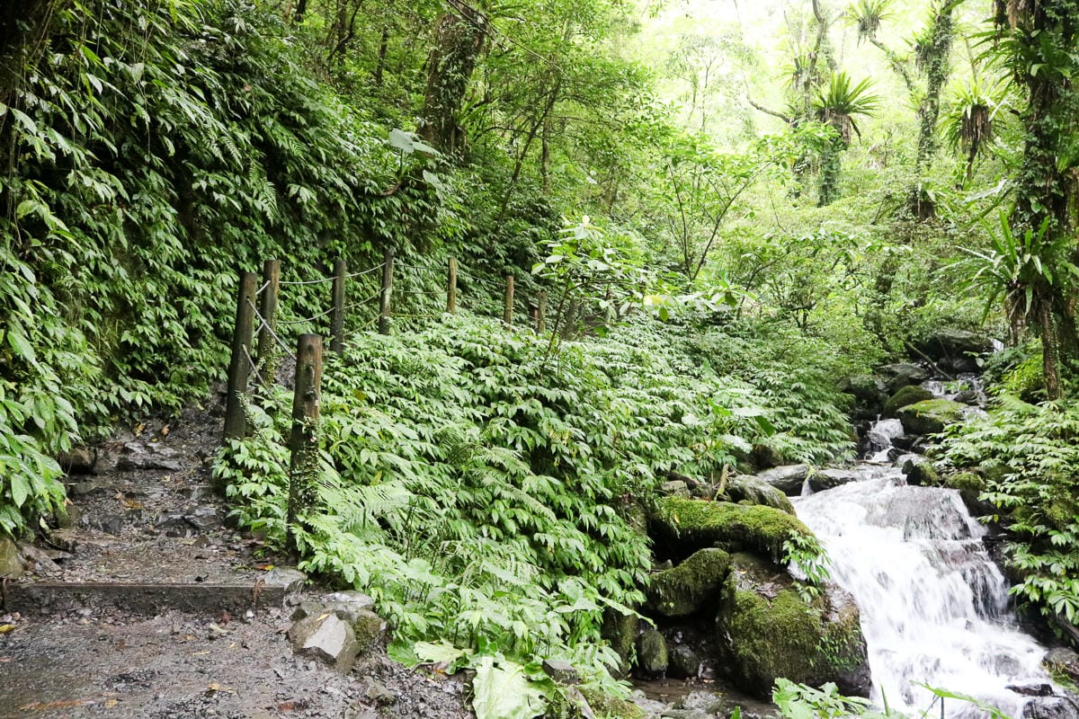宜蘭礁溪聖母登山步道朝聖路 爬抹茶山聖母山莊沒說的真相