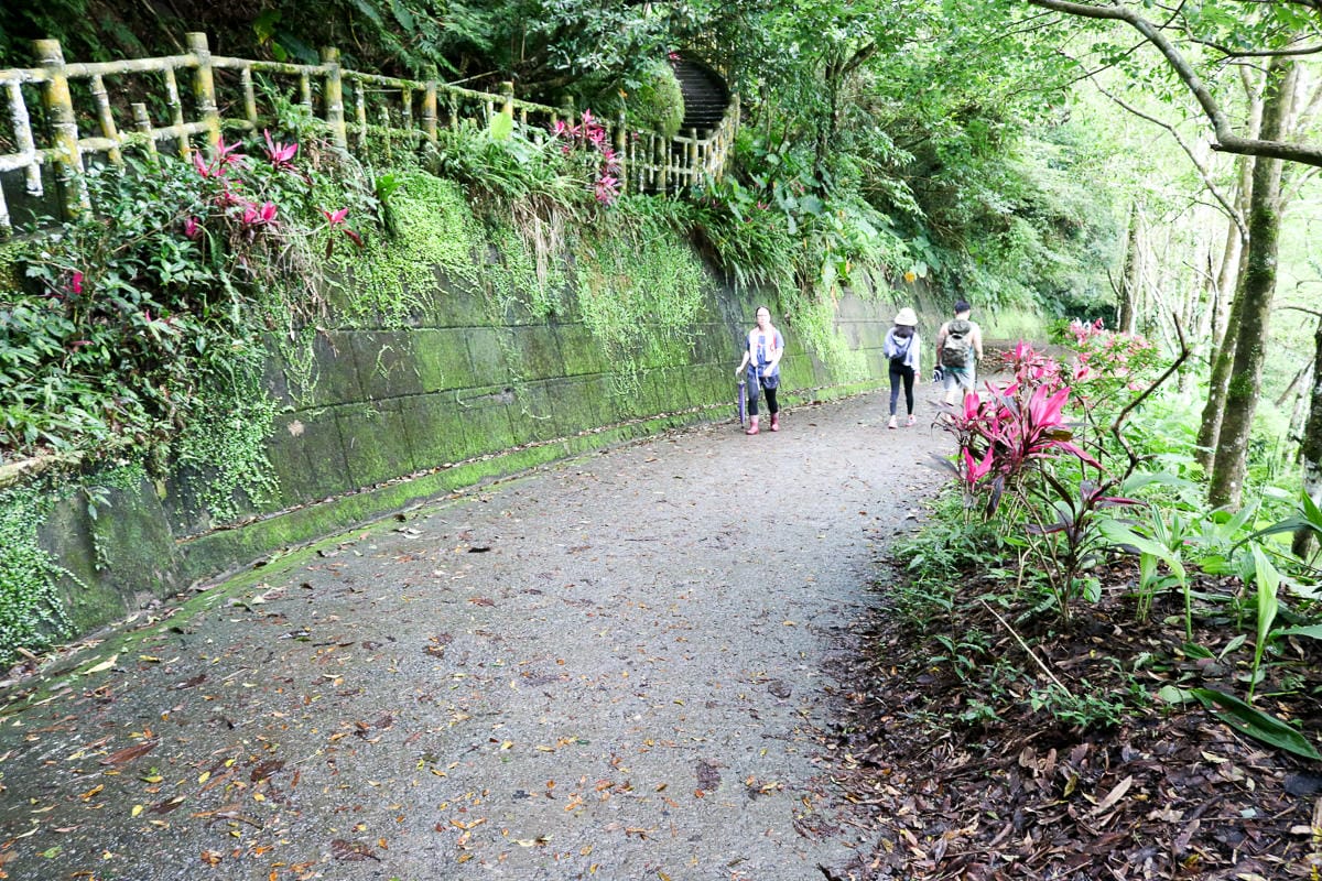宜蘭礁溪聖母登山步道朝聖路 爬抹茶山聖母山莊沒說的真相