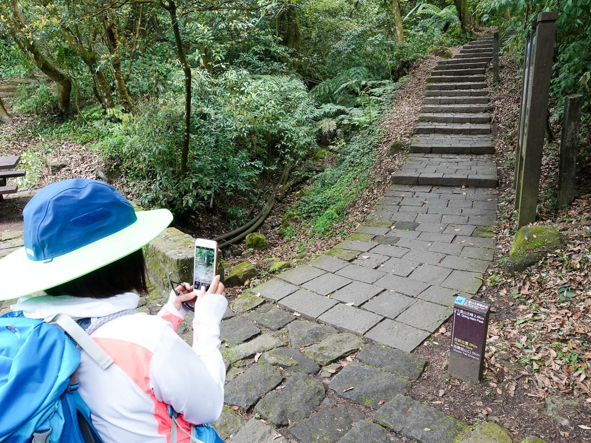 百岳練習場七星山主峰 苗圃線繞O形登頂台灣小百岳