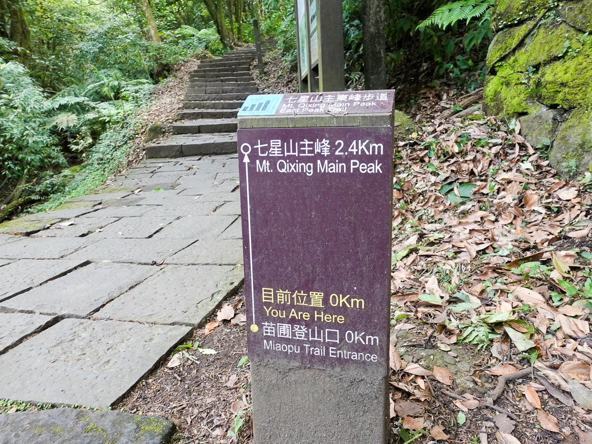 百岳練習場七星山主峰 苗圃線繞O形登頂台灣小百岳