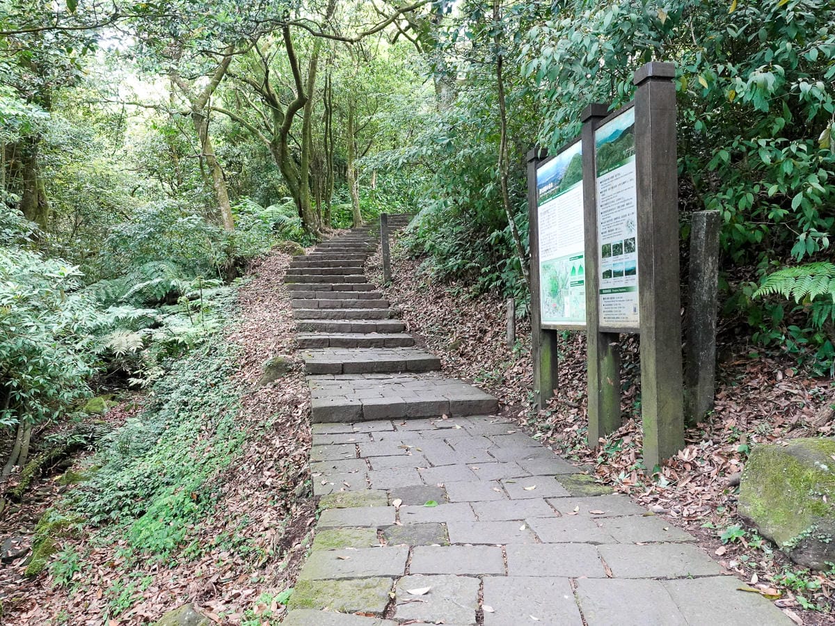 百岳練習場七星山主峰 苗圃線繞O形登頂台灣小百岳