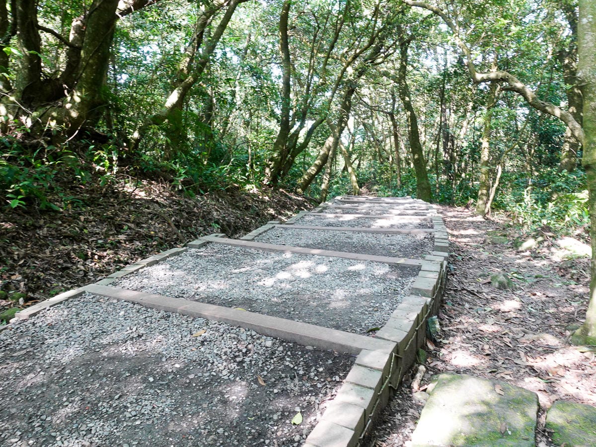 百岳練習場七星山主峰 苗圃線繞O形登頂台灣小百岳