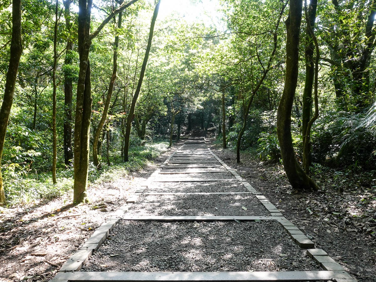百岳練習場七星山主峰 苗圃線繞O形登頂台灣小百岳