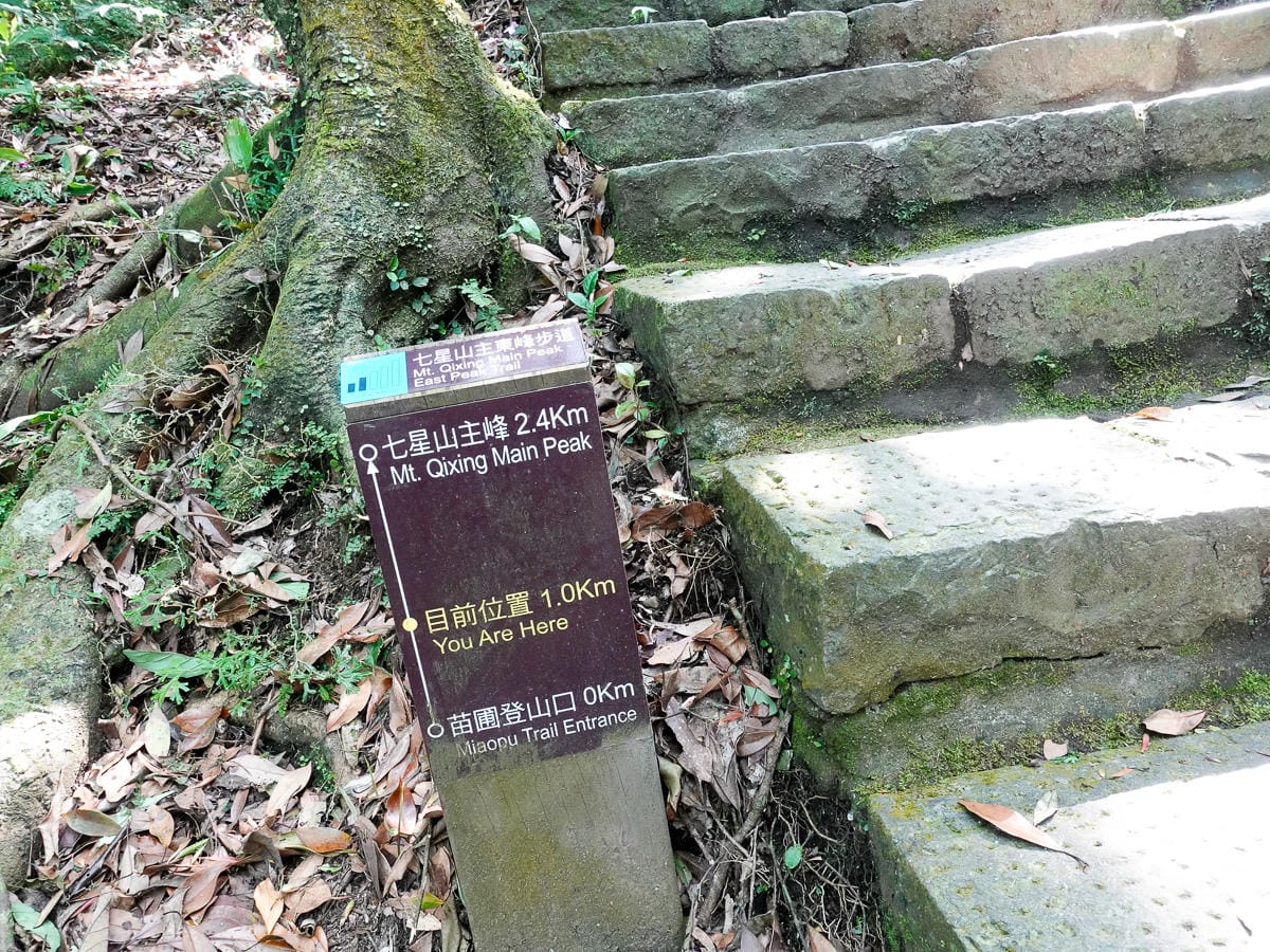 百岳練習場七星山主峰 苗圃線繞O形登頂台灣小百岳