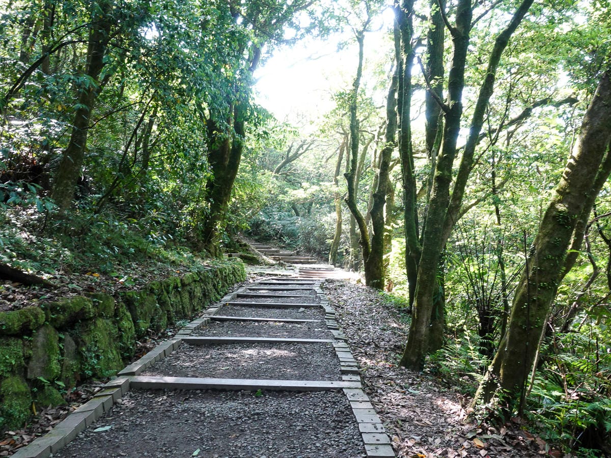 百岳練習場七星山主峰 苗圃線繞O形登頂台灣小百岳