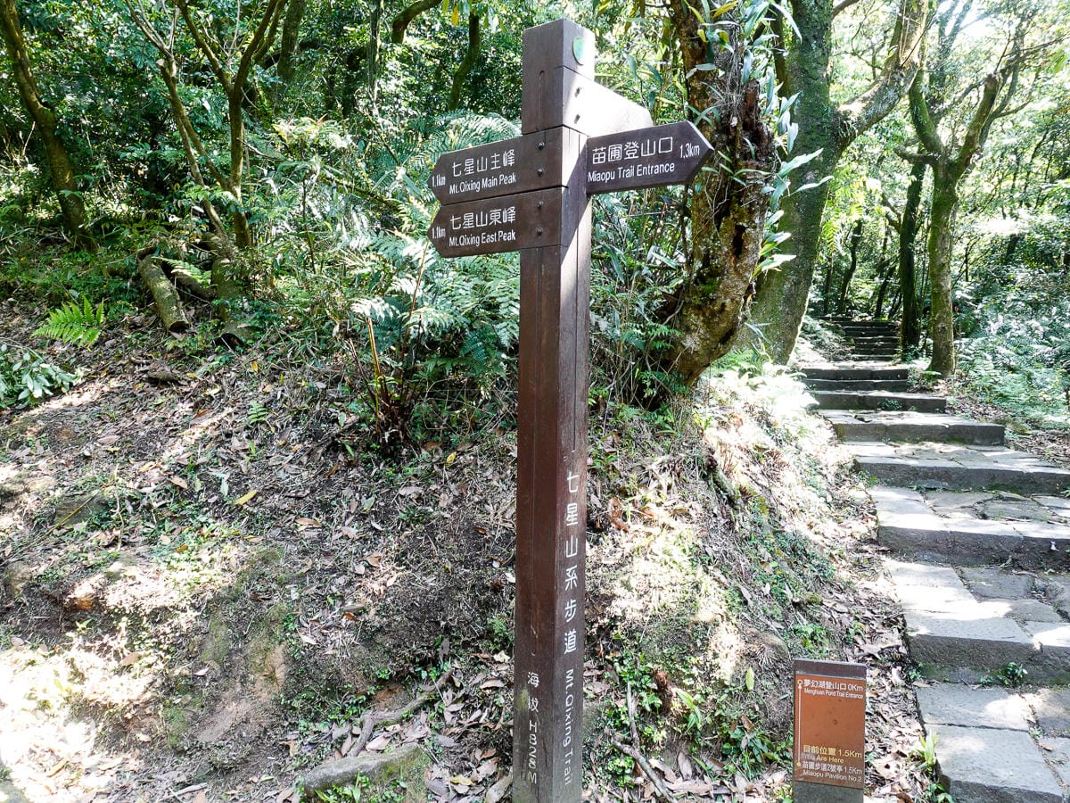 百岳練習場七星山主峰 苗圃線繞O形登頂台灣小百岳