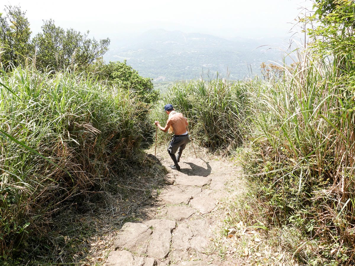 百岳練習場七星山主峰 苗圃線繞O形登頂台灣小百岳