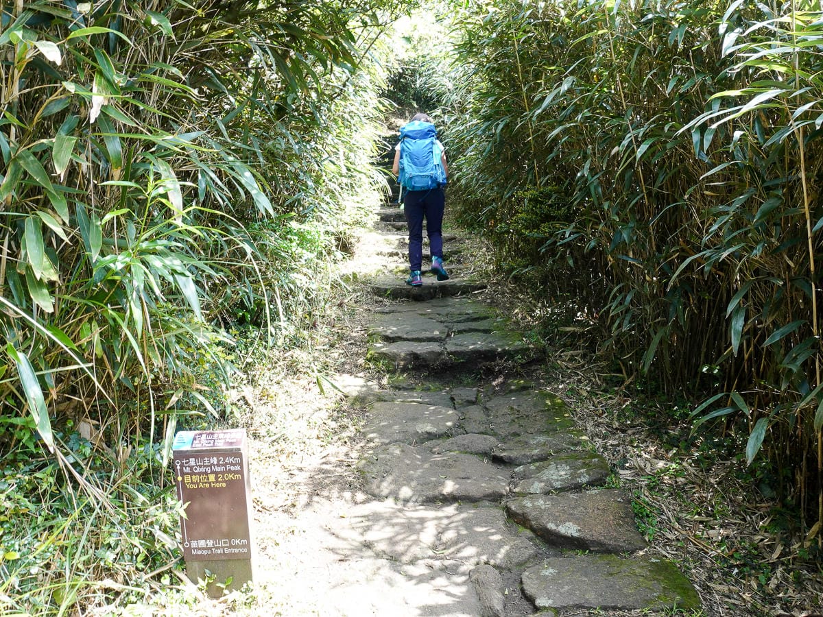 百岳練習場七星山主峰 苗圃線繞O形登頂台灣小百岳