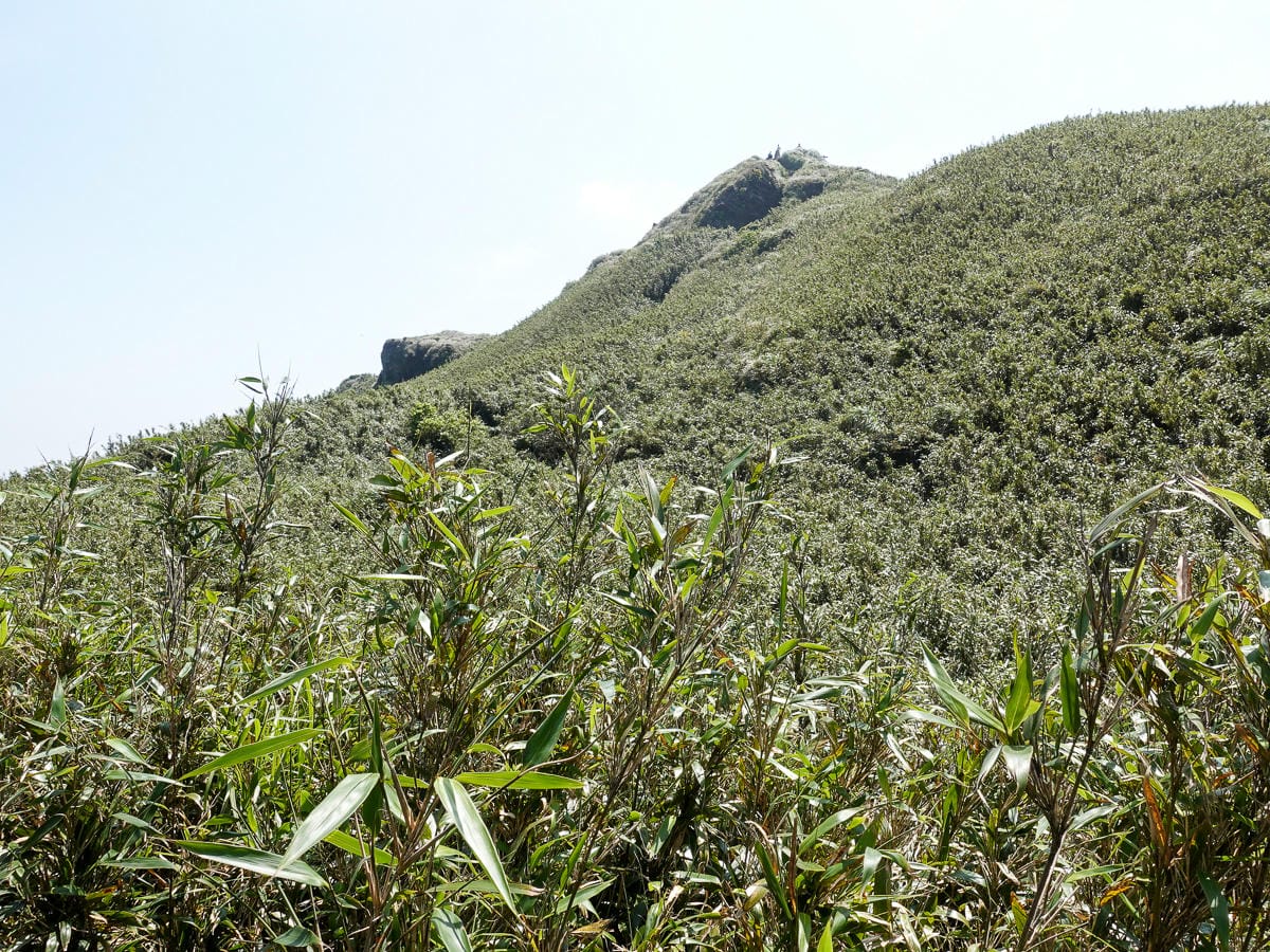 百岳練習場七星山主峰 苗圃線繞O形登頂台灣小百岳