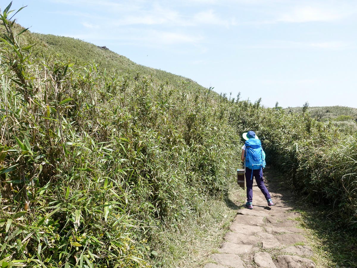 百岳練習場七星山主峰 苗圃線繞O形登頂台灣小百岳