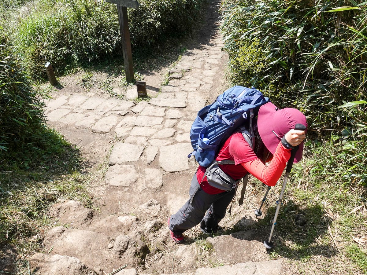 百岳練習場七星山主峰 苗圃線繞O形登頂台灣小百岳