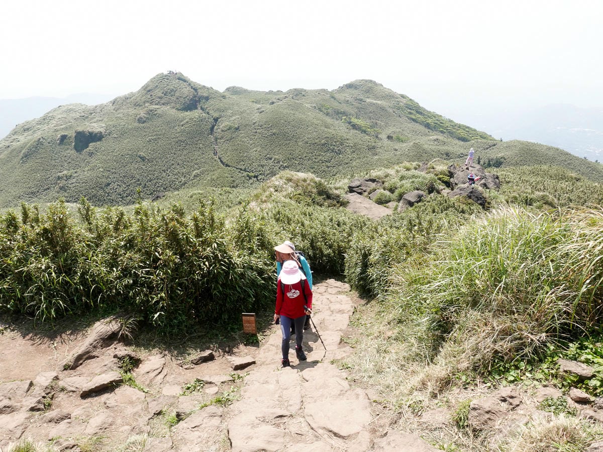 百岳練習場七星山主峰 苗圃線繞O形登頂台灣小百岳