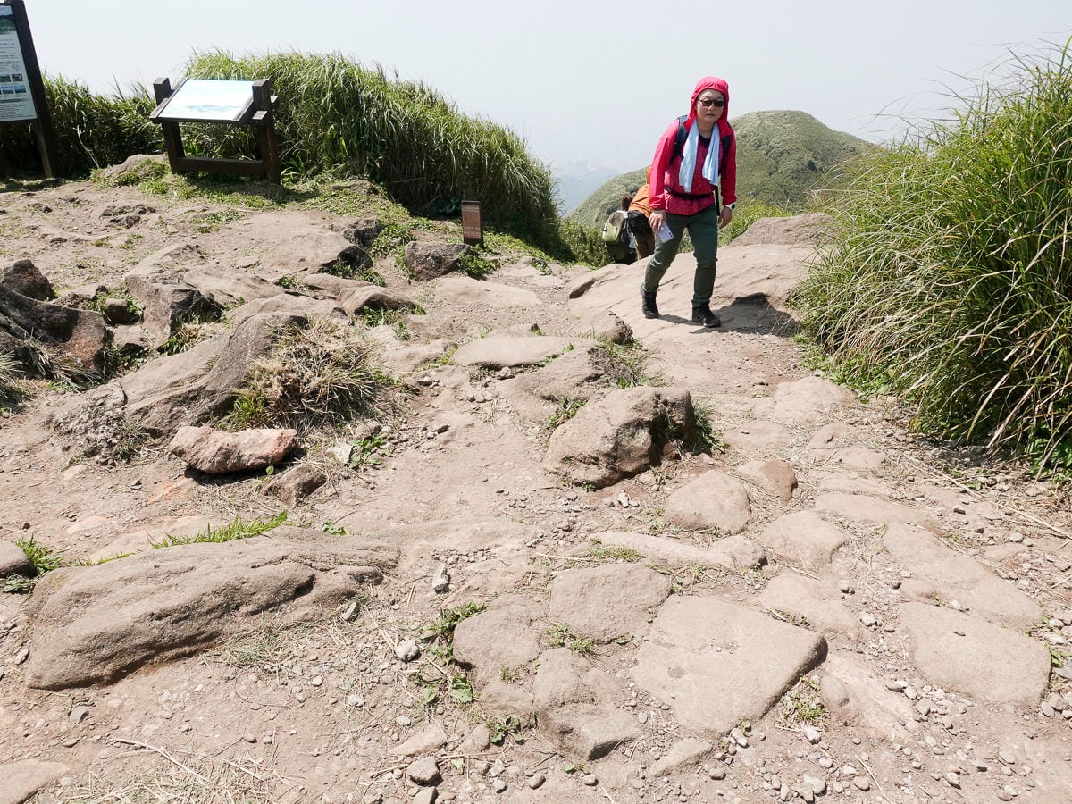 百岳練習場七星山主峰 苗圃線繞O形登頂台灣小百岳