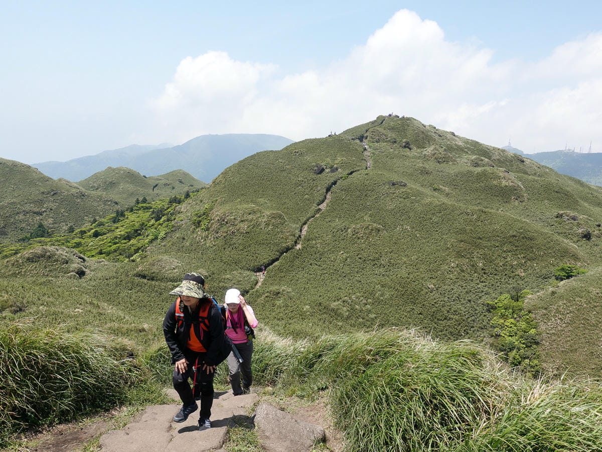 百岳練習場七星山主峰 苗圃線繞O形登頂台灣小百岳