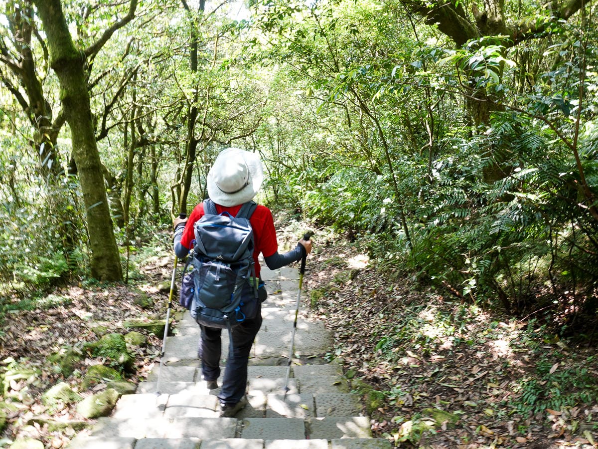 百岳練習場七星山主峰 苗圃線繞O形登頂台灣小百岳